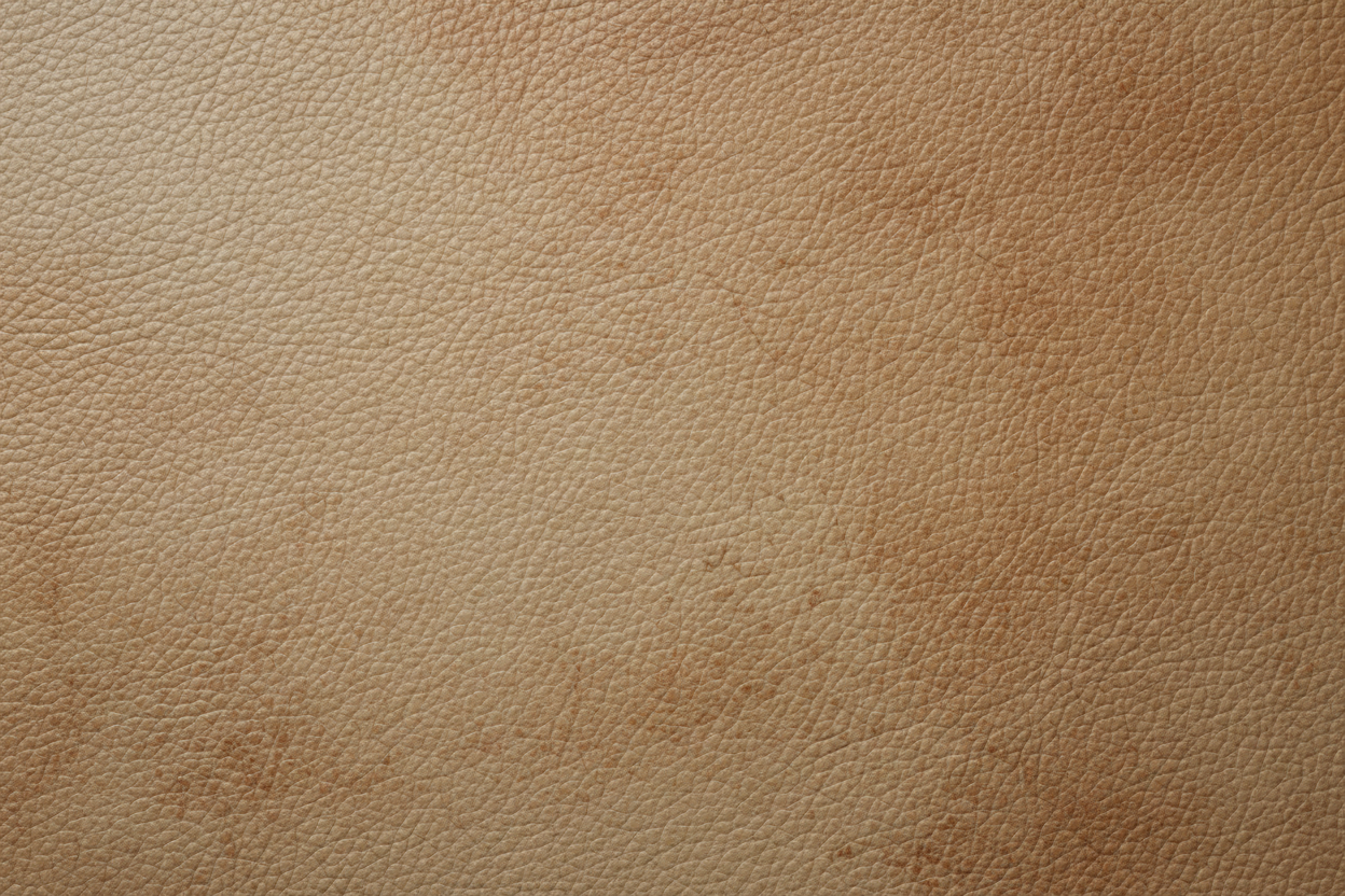 Premium Leather Texture